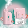 YUNDUO NINE DTL 5000 PUFFS  Strawberry Ice Cream