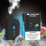 YUNDUO NINE DTL 5000 PUFFS  Blue Razz ice