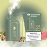 YUNDUO NINE DTL 5000 PUFFS  Kiwi Passionfruit Guava