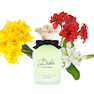 عطر زنانه Dolce Floral Drops