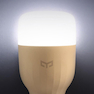 Xiaomi Yeelight Smart LED Bulb