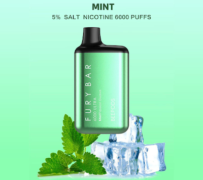 Mint Ice 6000 Puffs
